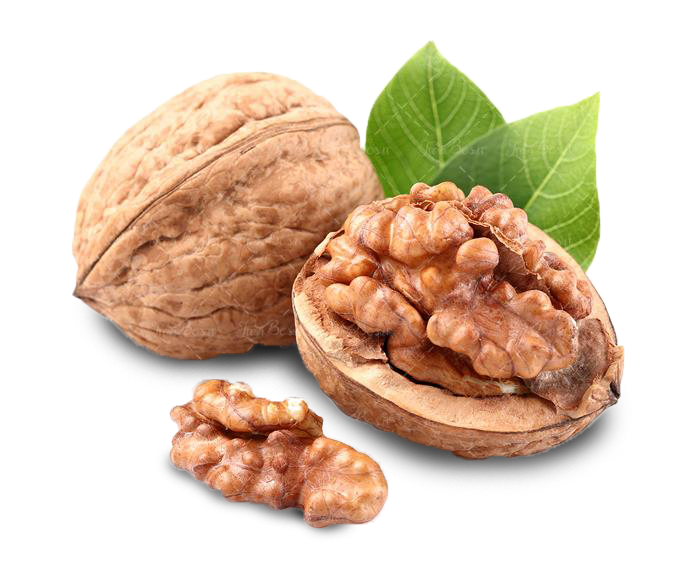 32086Tari Export – peanut