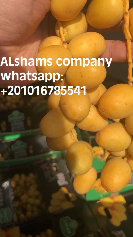 31863Dried_Red_chili