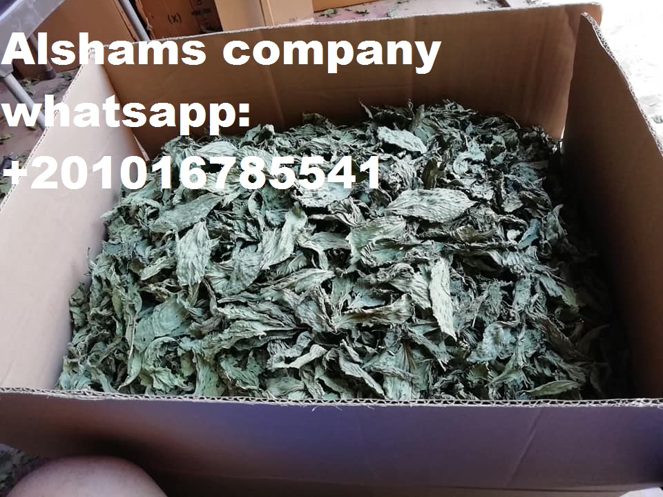 31961Dried_Red_chili