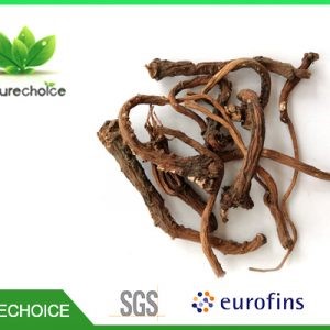 32149Organic Dry Schisandra fruit ,Organic schisandra powder