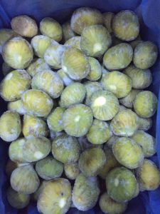 32713Pistachio Kernels