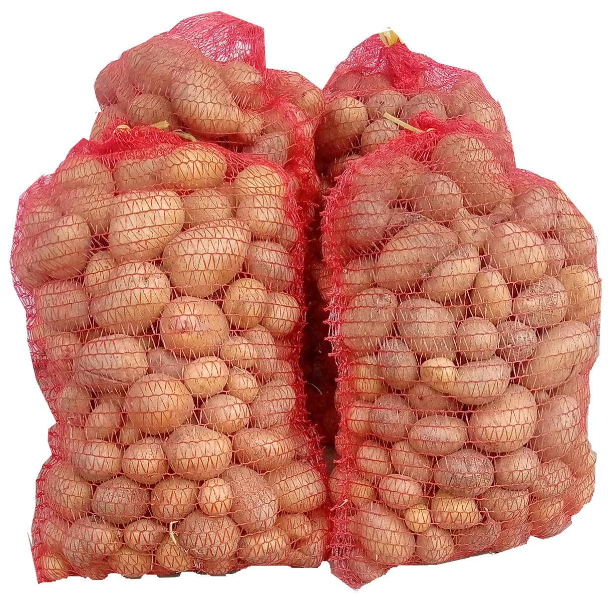 32063Vegetables for sale