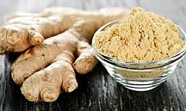 30778Ceylon Sergo Exports – Moringa