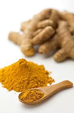 30776Ceylon Sergo Exports – Moringa