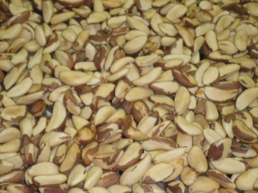 32690Pistachio Kernels