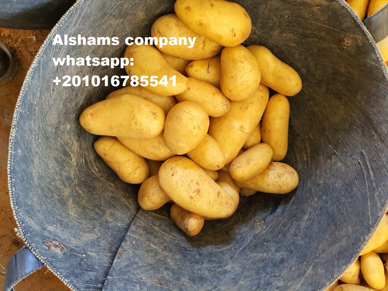 31966Dried_Red_chili