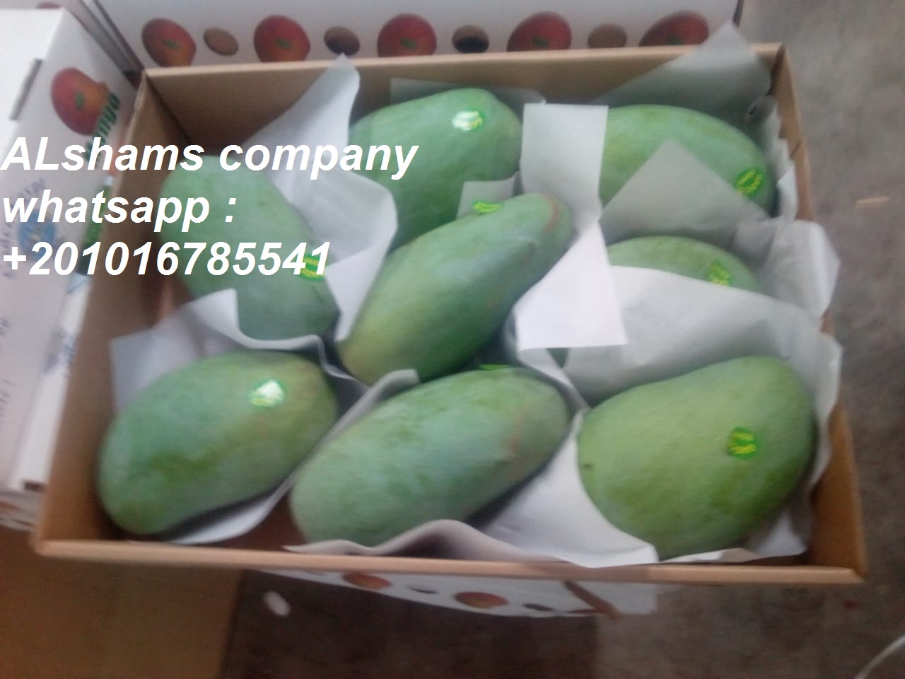 31862Dried_Red_chili