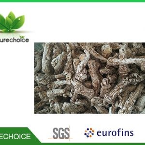 32142Organic Dry Schisandra fruit ,Organic schisandra powder