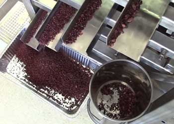 30492Cacao Cucina – Nib Grinder