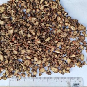 32145Organic Dry Schisandra fruit ,Organic schisandra powder