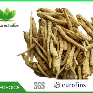 32143Organic Dry Schisandra fruit ,Organic schisandra powder