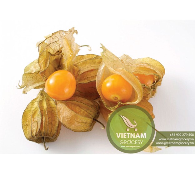 32140Vietnam Fresh Fruit Rambutan