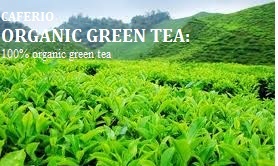 32633ORGANIC GREEN TEA