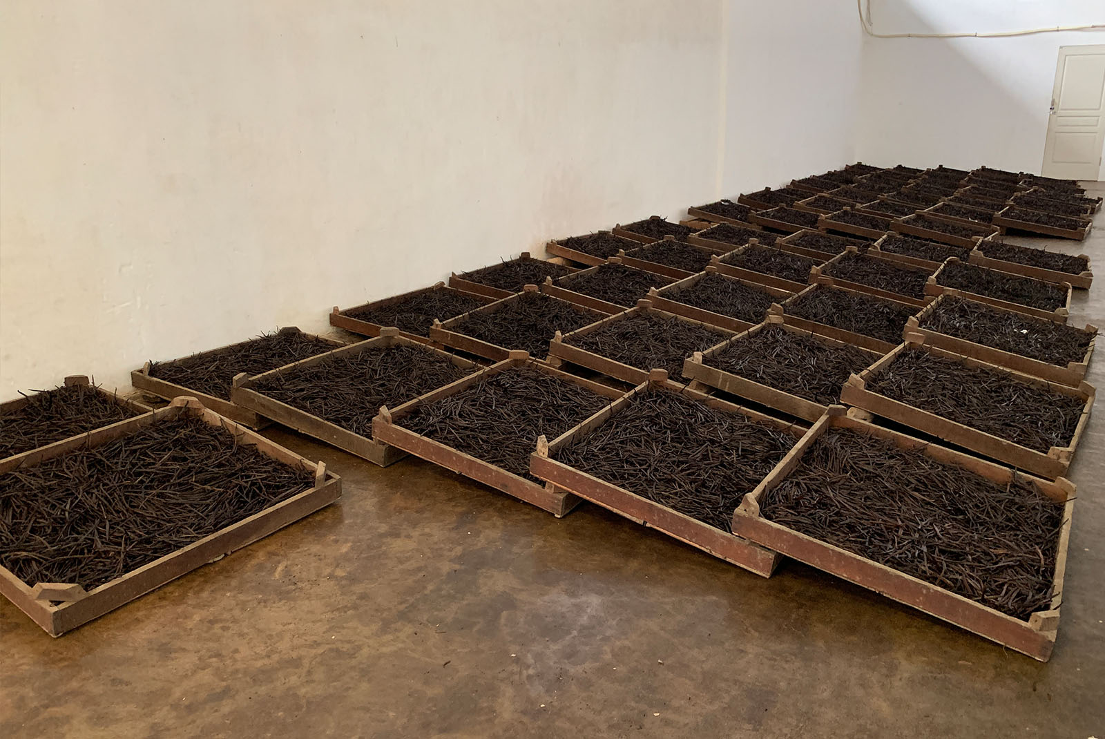 30540UD. SUMBER LANCAR – Indonesian Extraction Grade Vanilla Bean