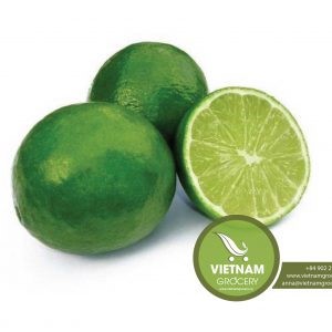 32141Vietnam Fresh Fruit Rambutan
