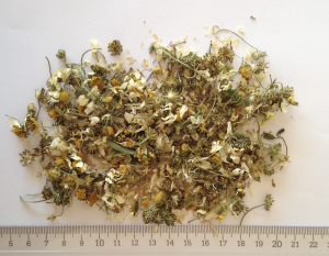 32701Pistachio Kernels