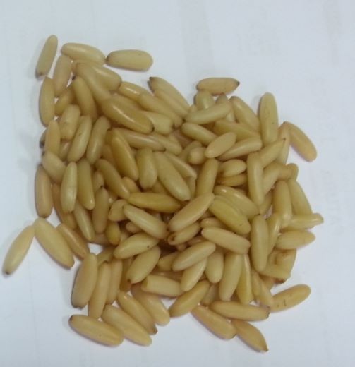 32683Pistachio Kernels