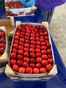 32692Pistachio Kernels