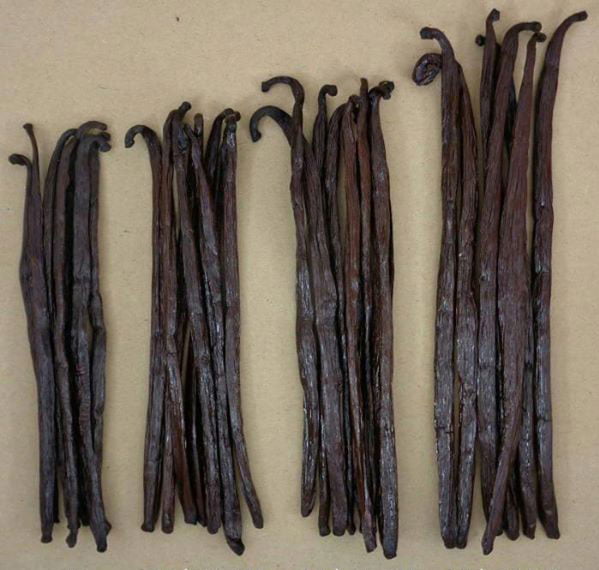 31037Zazou Emporium – Bourbon Madagascan Vanilla Extract with Seeds