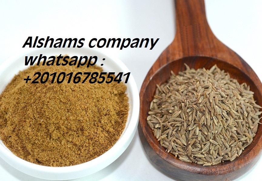 31877Dried_Red_chili